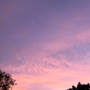 Meet your Posher, Isabelle